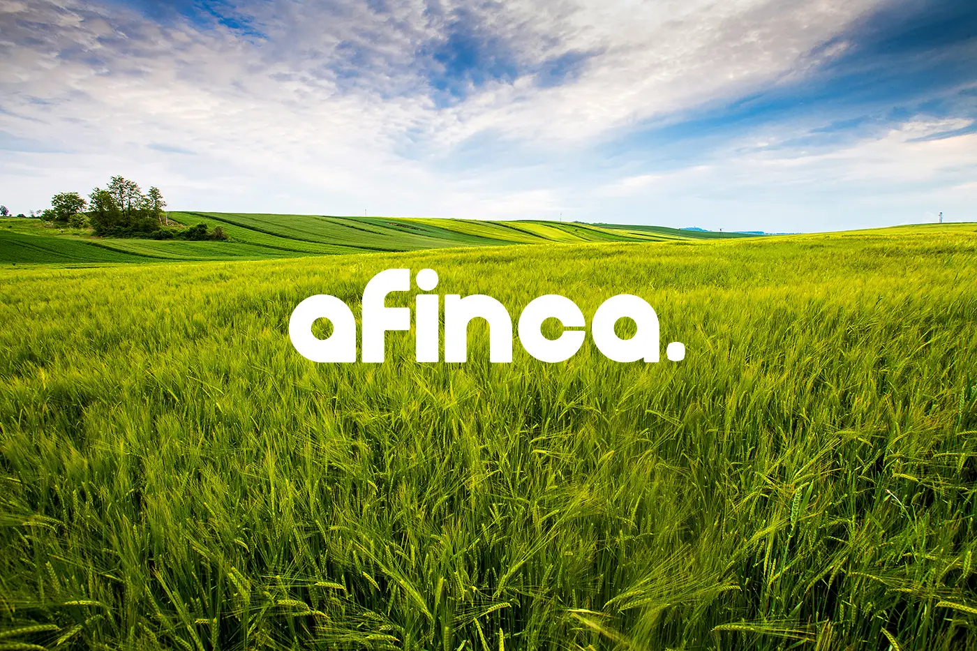 mundo rural blog afinca